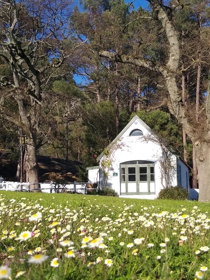 L'Auberge Chanteclair Franschhoek Εξωτερικό φωτογραφία