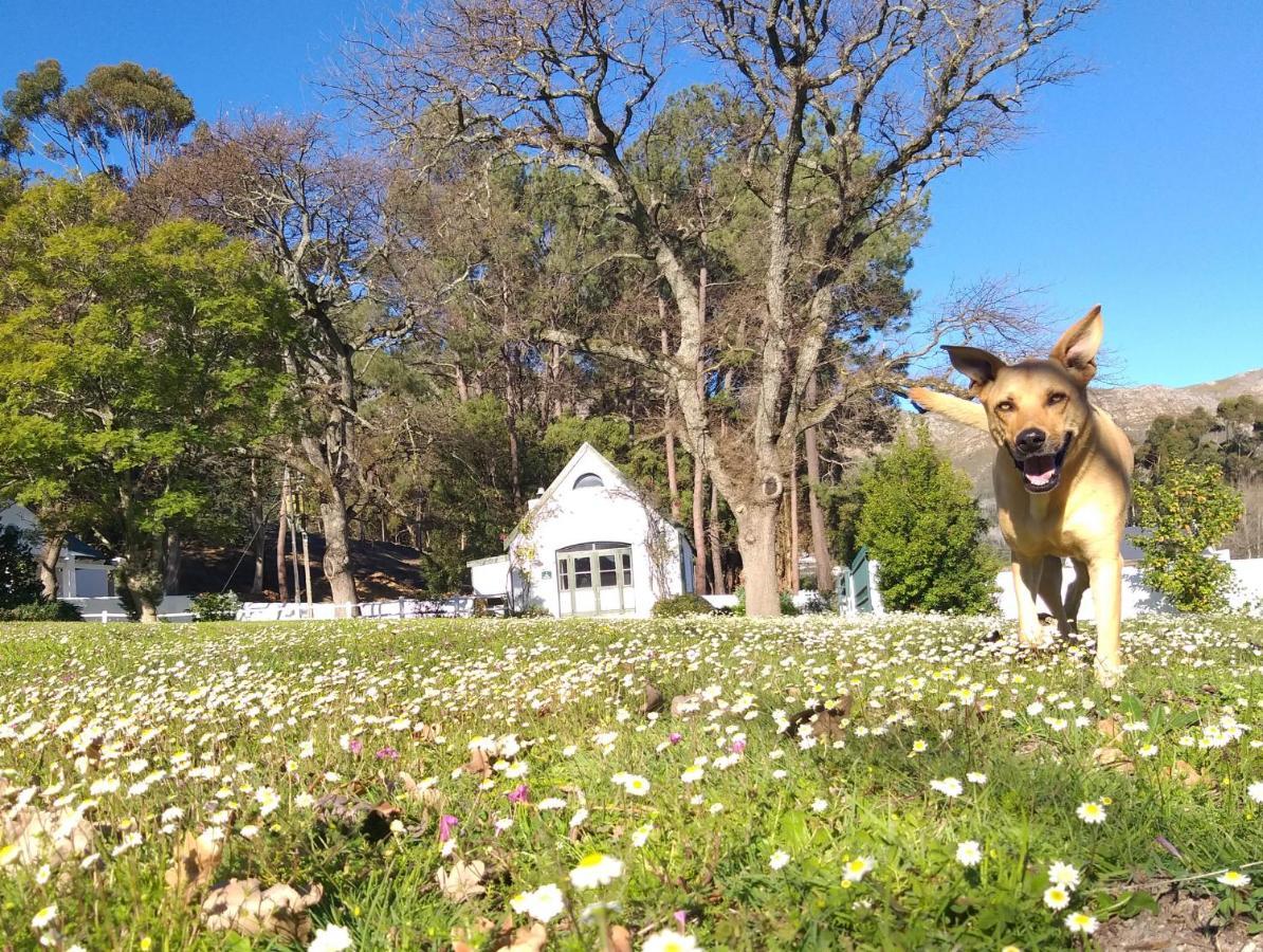 L'Auberge Chanteclair Franschhoek Εξωτερικό φωτογραφία